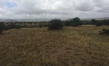 VENTA 113 HECTAREAS VALLE DE OJOS NEGROS