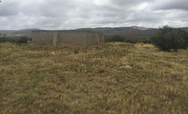 VENTA 113 HECTAREAS VALLE DE OJOS NEGROS