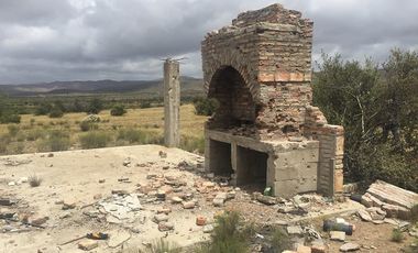 VENTA 113 HECTAREAS VALLE DE OJOS NEGROS