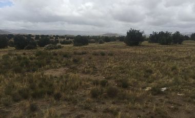 VENTA 113 HECTAREAS VALLE DE OJOS NEGROS