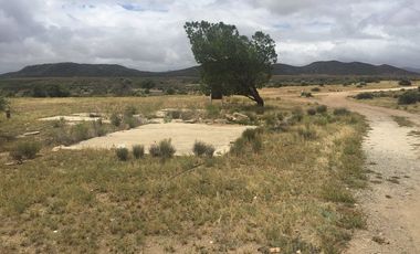 VENTA 113 HECTAREAS VALLE DE OJOS NEGROS
