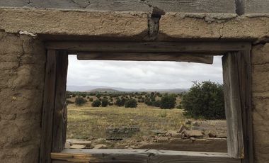 VENTA 113 HECTAREAS VALLE DE OJOS NEGROS