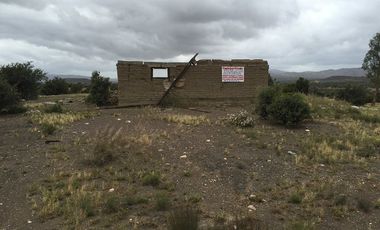 VENTA 113 HECTAREAS VALLE DE OJOS NEGROS