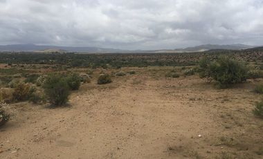 VENTA 113 HECTAREAS VALLE DE OJOS NEGROS