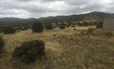 VENTA 113 HECTAREAS VALLE DE OJOS NEGROS