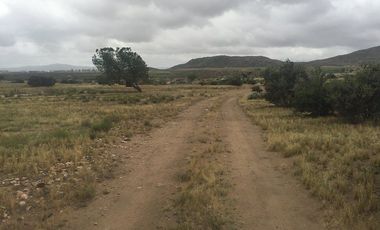 VENTA 113 HECTAREAS VALLE DE OJOS NEGROS
