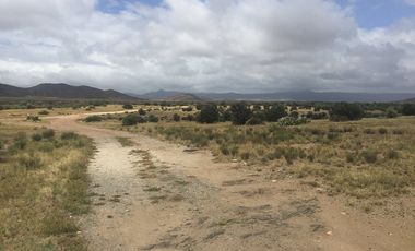 VENTA 113 HECTAREAS VALLE DE OJOS NEGROS