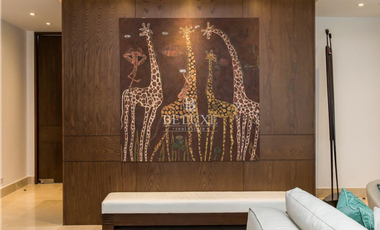 VENDO APARTAMENTO P.H ARIA EN COSTA DEL ESTE (P)