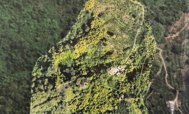Venta Finca cafetera Buenavista Quindio 16 cuadras