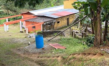 Se vende finca cafetera en Buenavista Quindío 16 cuadras
