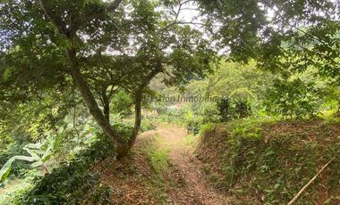 Se vende finca cafetera en Buenavista Quindío 16 cuadras