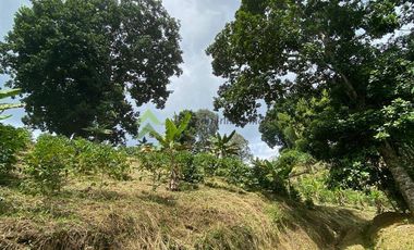 Se vende finca cafetera en Buenavista Quindío 16 cuadras