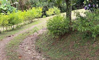 Se vende finca cafetera en Buenavista Quindío 16 cuadras