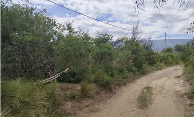 VENTA CAMPO TRASLASIERRAS LUYABA 4 HECTAREAS VEGETACION ASEQUIAS