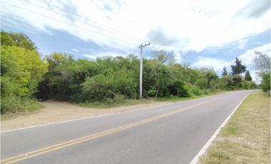 VENTA CAMPO TRASLASIERRAS LUYABA 4 HECTAREAS VEGETACION ASEQUIAS