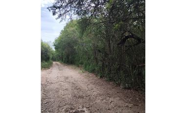VENTA CAMPO TRASLASIERRAS LUYABA 4 HECTAREAS VEGETACION ASEQUIAS