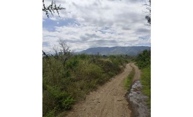 VENTA CAMPO TRASLASIERRAS LUYABA 4 HECTAREAS VEGETACION ASEQUIAS