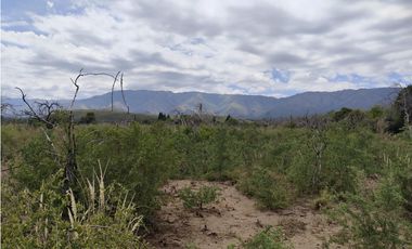 VENTA CAMPO TRASLASIERRAS LUYABA 4 HECTAREAS VEGETACION ASEQUIAS