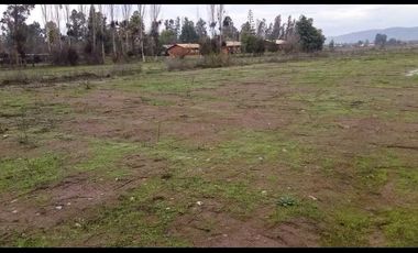 Parcela en venta en LAS CABRAS