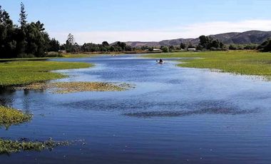 Parcela en venta en LAS CABRAS