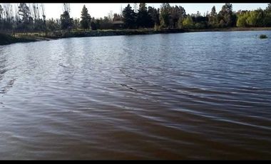 Parcela en venta en LAS CABRAS