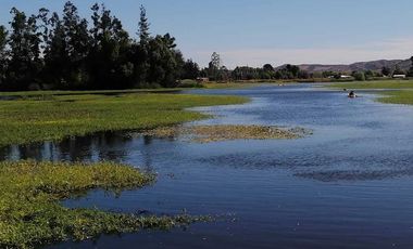 Parcela en venta en LAS CABRAS