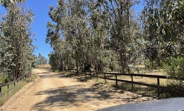 Sitio en Venta en Ruta G890, a 5 minutos en auto de Navidad, 6 minutos de Pupuya y 8 kilometros de Matanzas.