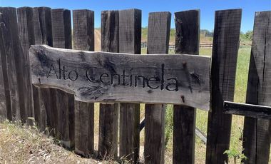 Sitio en Venta en Ruta G890, a 5 minutos en auto de Navidad, 6 minutos de Pupuya y 8 kilometros de Matanzas.