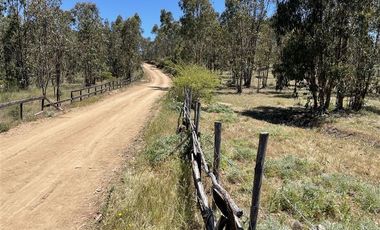 Sitio en Venta en Ruta G890, a 5 minutos en auto de Navidad, 6 minutos de Pupuya y 8 kilometros de Matanzas.