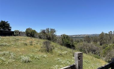 Sitio en Venta en Ruta G890, a 5 minutos en auto de Navidad, 6 minutos de Pupuya y 8 kilometros de Matanzas.