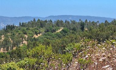 Sitio en Venta en Ruta G890, a 5 minutos en auto de Navidad, 6 minutos de Pupuya y 8 kilometros de Matanzas.