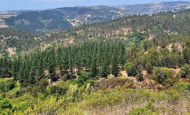 Sitio en Venta en Ruta G890, a 5 minutos en auto de Navidad, 6 minutos de Pupuya y 8 kilometros de Matanzas.