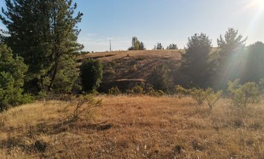 TERRENO DE 5,89 HÁ SAN ROSENDO/LAJA