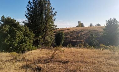 TERRENO DE 5,89 HÁ SAN ROSENDO/LAJA