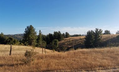 TERRENO DE 5,89 HÁ SAN ROSENDO/LAJA