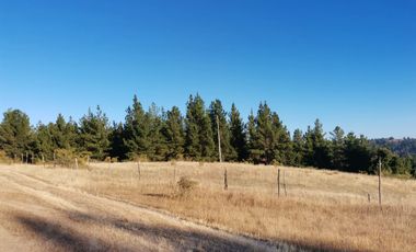 TERRENO DE 5,89 HÁ SAN ROSENDO/LAJA