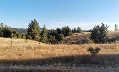 TERRENO DE 5,89 HÁ SAN ROSENDO/LAJA