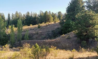 TERRENO DE 5,89 HÁ SAN ROSENDO/LAJA