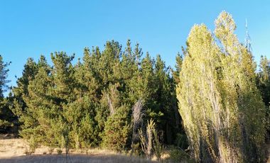 TERRENO DE 5,89 HÁ SAN ROSENDO/LAJA