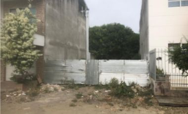 LOTE DISPONIBLE EN VENTA / ROSALES DE TACASUAN