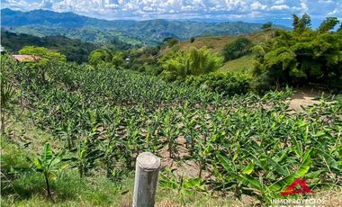 Excelente valor🚨 Lote en sector vía Alcalá-Cartago