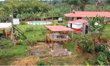 Finca en venta entre Filandia- Quimbaya Quindio