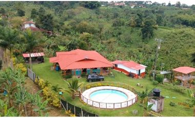 Finca en venta entre Filandia- Quimbaya Quindio