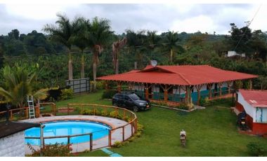 Finca en venta entre Filandia- Quimbaya Quindio