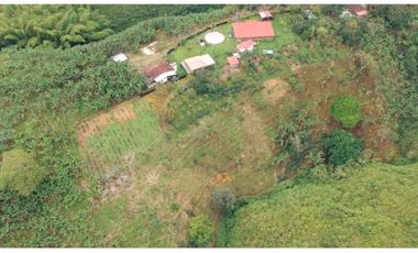 Finca en venta entre Filandia- Quimbaya Quindio