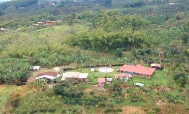Finca en venta entre Filandia- Quimbaya Quindio