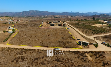 2.2 HECTAREAS EN VALLE DE GUADALUPE  !! DE OPORTUNIDAD !!