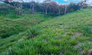 Venta Lote N°6 En Parcelación Campestre Dapa