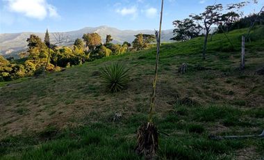 Venta Lote N°6 En Parcelación Campestre Dapa