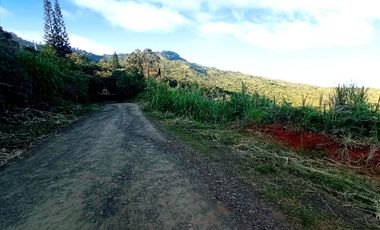 Venta Lote N°6 En Parcelación Campestre Dapa